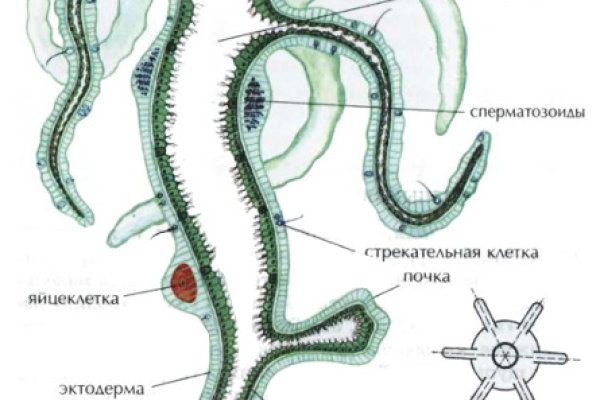 Зеркало омг омг рабочее